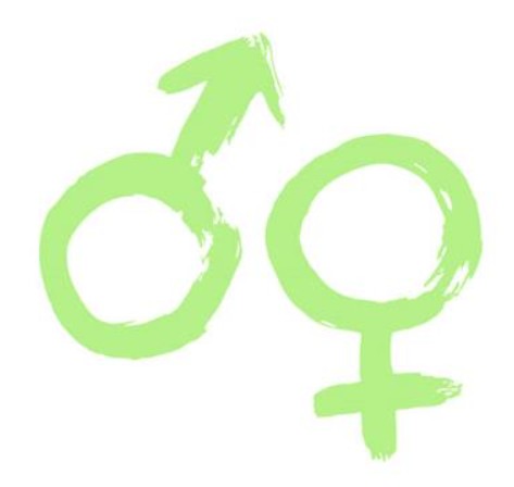 Index de l'égalité professionnelle entre les femmes et les hommes / CFCA